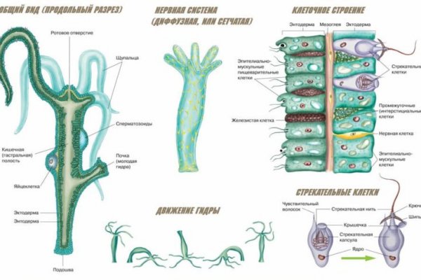 Kraken darknet зеркала