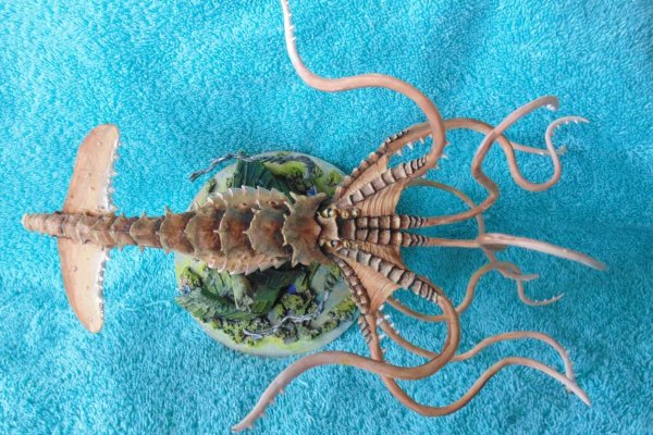 Kraken 19at