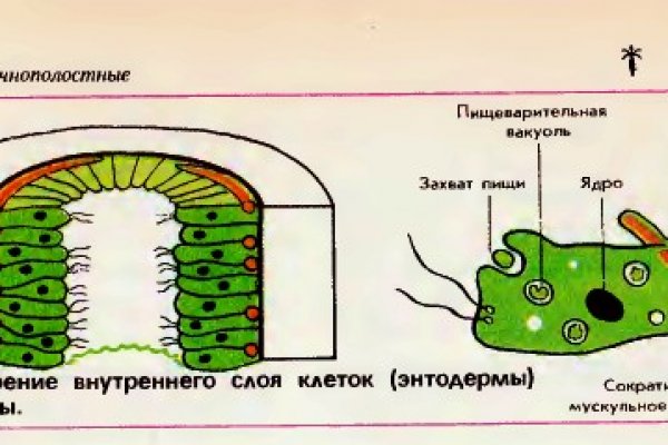 Взломали кракен аунтификатор