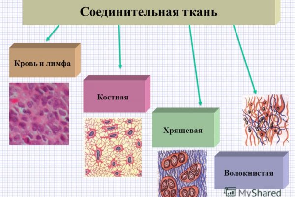 Ссылка на кракен тор магазин