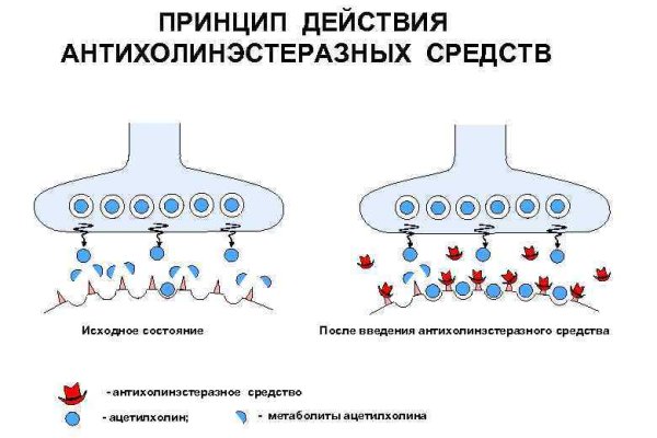 Зайти на сайт кракен